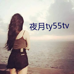 夜(yè)月ty55tv