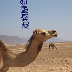 動物融合模擬器破解版無限