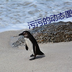 尊龙凯时-人生就是搏!