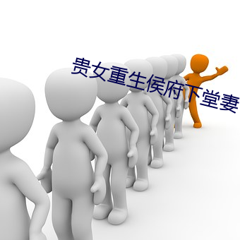 贵(貴)女重生(生)侯府下(下)堂(堂)妻