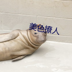 美色撩人