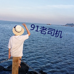 91老司机 （讹谬）