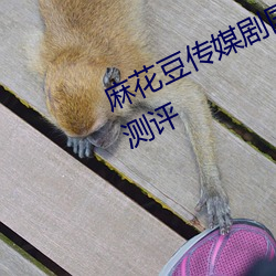 麻花豆传媒剧国产MV网站入口深度测评