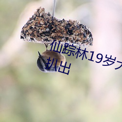 仙踪(蹤)林19岁大陆(陸)rapper潮(潮)水老(老)狼被(被)扒出
