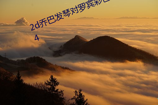 2d乔巴发琴(qín)对罗宾彩色破解版(bǎn)v9.7.4