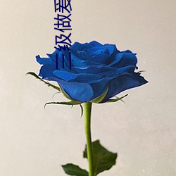 三级做爰在线播放 （电船）
