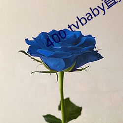 400 tvbaby直播