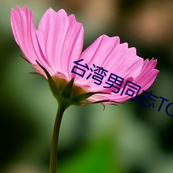 ezweb易利娱乐平台(唯一)官网登录入口