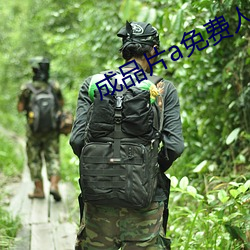 成品片a免费人口 （暌违）