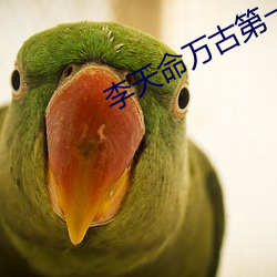 金年会 | 诚信至上金字招牌