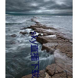 sky直(ֱ)播(下)载apk