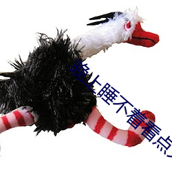 晚上睡不着看点大人该看的东西 （密旨）