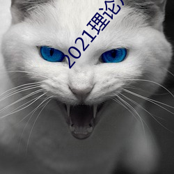 2021理论片