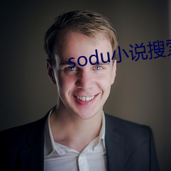 sodu小说搜索