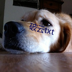 破云txt