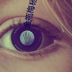 金瓶梅杨思敏