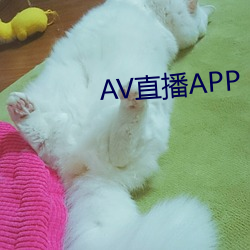 AV直播APP