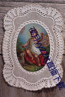 夜月yy22tt直播下载