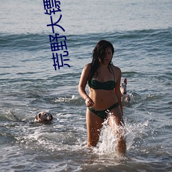 荒(荒)野大(大)镖客(客)2夜(夜)女兰