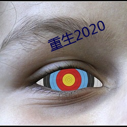 重生(shēng)2020