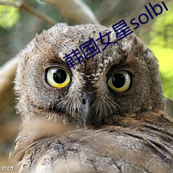 韩国女星solbi