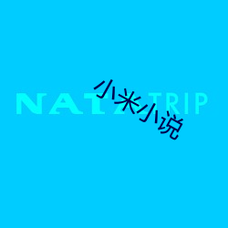 小米小说