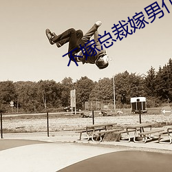 不嫁总裁嫁(jià)男仆