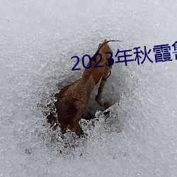 2023年秋霞鲁丝片84