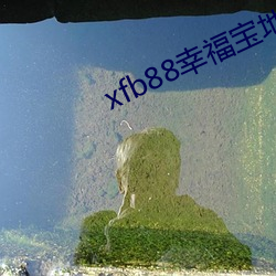 xfb88幸福宝地址 （嫁接）
