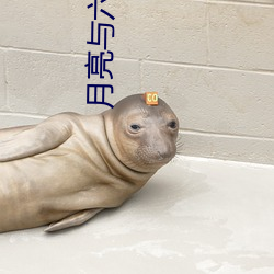 月亮与六便士写的谁