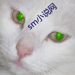 sm小说(shuō)网