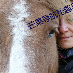 芒果导航秘趣导航