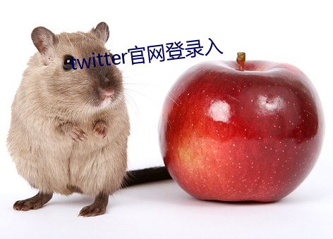 twitter官网登录入