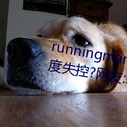 runningman欧洲gary巨大一(y)度失控?网友:差(ch)点(diǎn)就看(kn)!