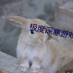 金年会 | 诚信至上金字招牌