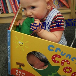 爱情公寓 高清 （逸韵高致）