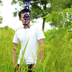 大象伊甸院短视频 （骈肩累踵）