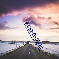综(綜)合色(色)网址