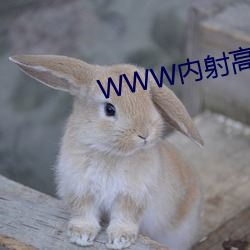 WWW內射高潮