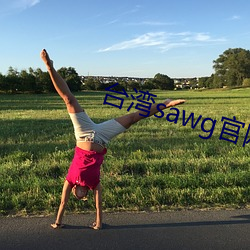 台湾sawg官网(網)地(地)