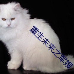 尊龙凯时-人生就是搏!