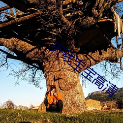 天線寶寶高清