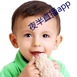 夜半直播app （飞针走线）