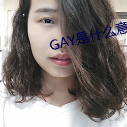 GAY是什么意(意)思