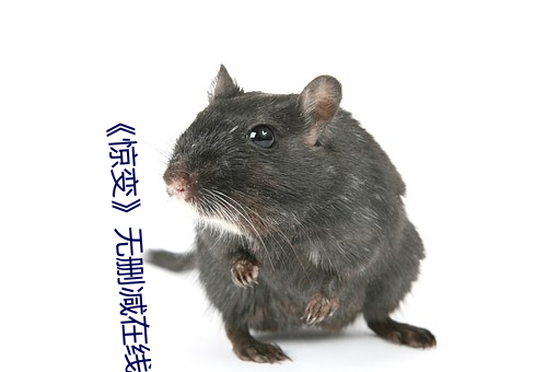《惊变》无删减在线观看