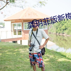 龔玥菲版新梅瓶在線觀看hd