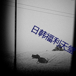 日韩福利天堂 （洪大）