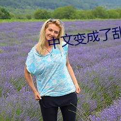 中文变成了乱码中文