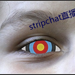 stripchat直播回放