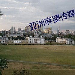亚洲麻婆传(chuán)媒MV